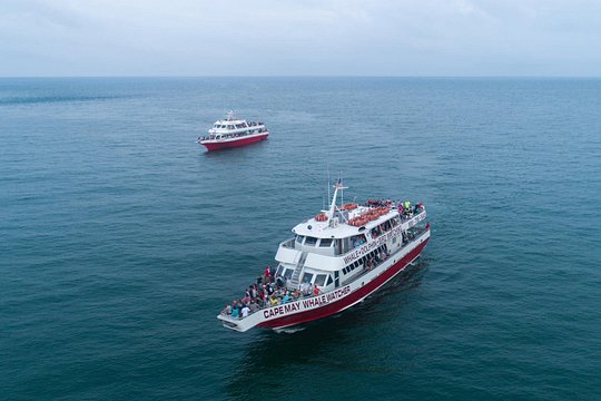 Tour image 9