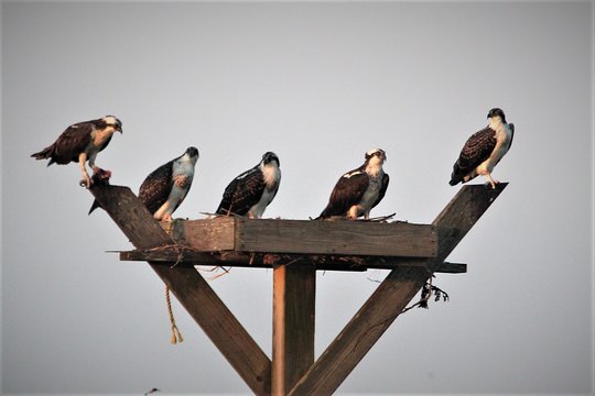 Tour image 6