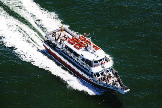 Tour image 2