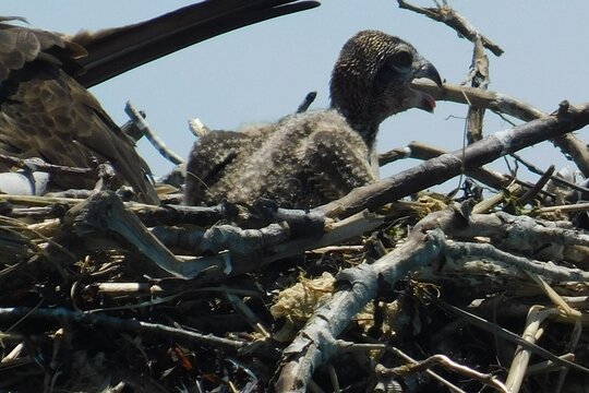 Tour image 7