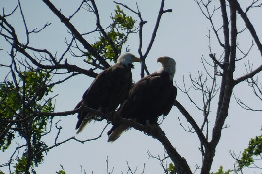 Tour image 4
