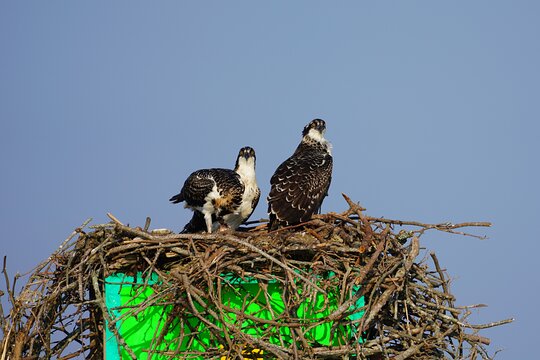 Tour image 10